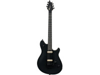 EVH EVH